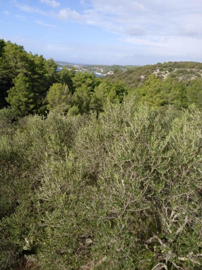 Svema Apartman Vela Luka Eksteriør bilde
